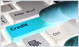Credit Collection Agency